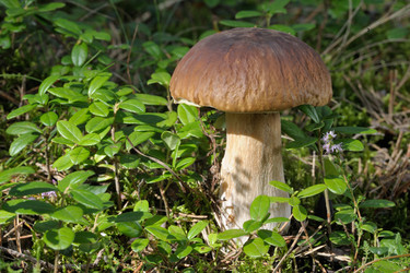 Similar image 6312718