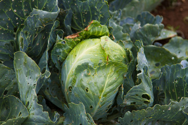 Similar image 6312763