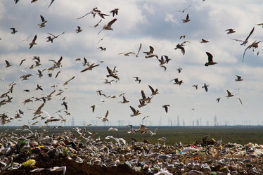 Similar image 6312778