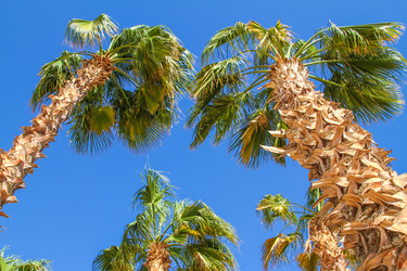 Similar image 6312779