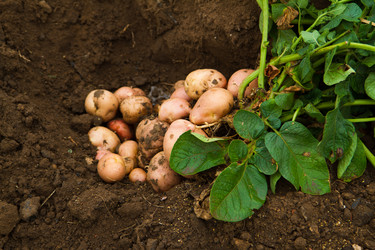 Similar image 6312781