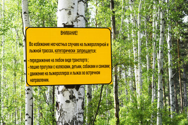 Similar image 6312834