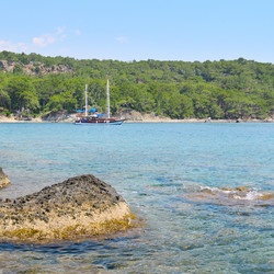 Similar image 6312849