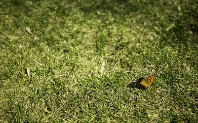 Similar image 6312864