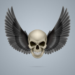 Similar image 6312925