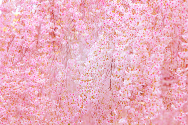 Similar image 6312989