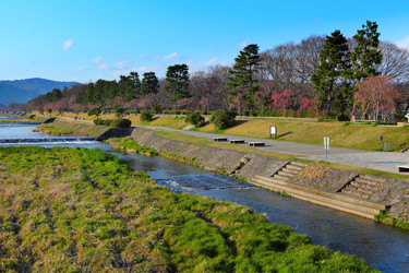 Similar image 6313000