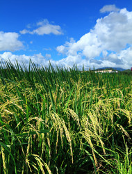 Similar image 6313072