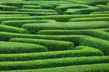 Similar image 6313149