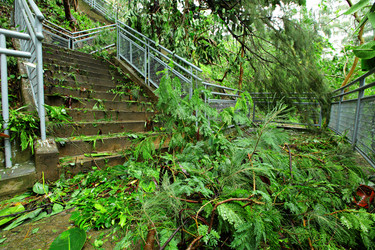 Similar image 6313194