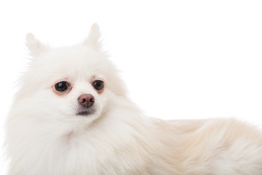 Similar image 6313393