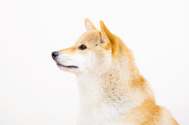 Similar image 6313434