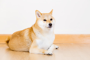 Similar image 6313444