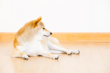 Similar image 6313445