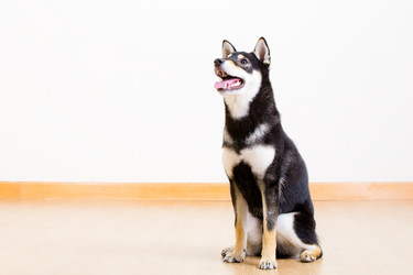 Similar image 6313456