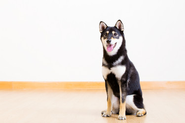 Similar image 6313462