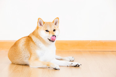 Similar image 6313464