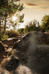 Similar image 6313466