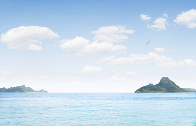 Similar image 6313484