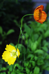 Similar image 6313521