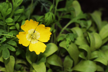 Similar image 6313525