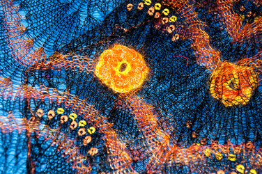 Similar image 6313568