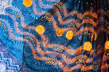 Similar image 6313570