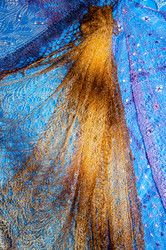 Similar image 6313573