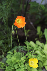 Similar image 6313575