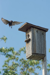 Similar image 6313586