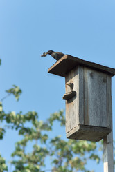 Similar image 6313593