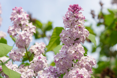 Similar image 6313618