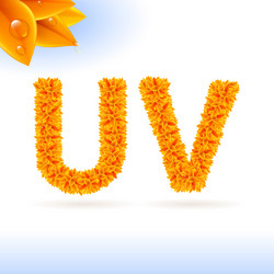 Similar image 6313639