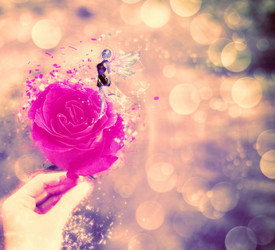 Similar image 6313651