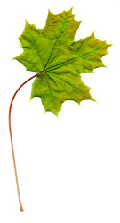 Similar image 6313661