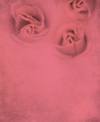 Similar image 6313666