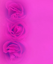 Similar image 6313675