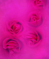 Similar image 6313676