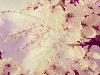 Similar image 6313690