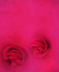 Similar image 6313707