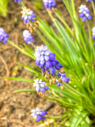 Similar image 6313721