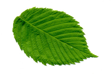 Similar image 6313772