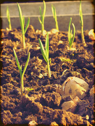 Similar image 6313781