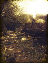 Similar image 6313796