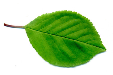 Similar image 6313815