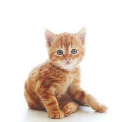 Similar image 6313844