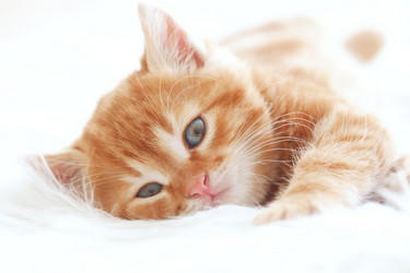 Similar image 6313858