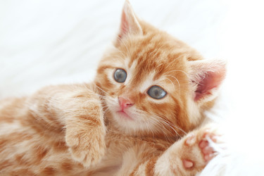 Similar image 6313860