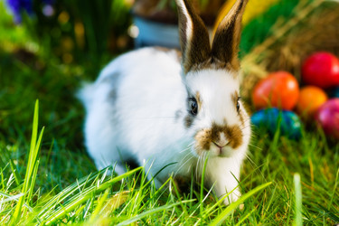 Similar image 6313872