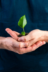 Similar image 6313903